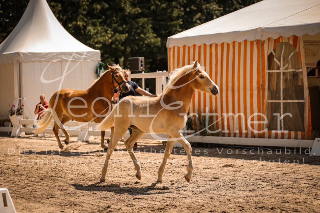 06.DoH00036 | Leoni Ertmer Photography - Realisiert mit Pictrs.com