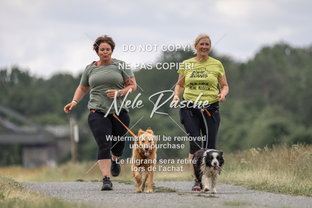 nelerasche_BuHu2026_SaCC1100-1200_252 | nelerasche