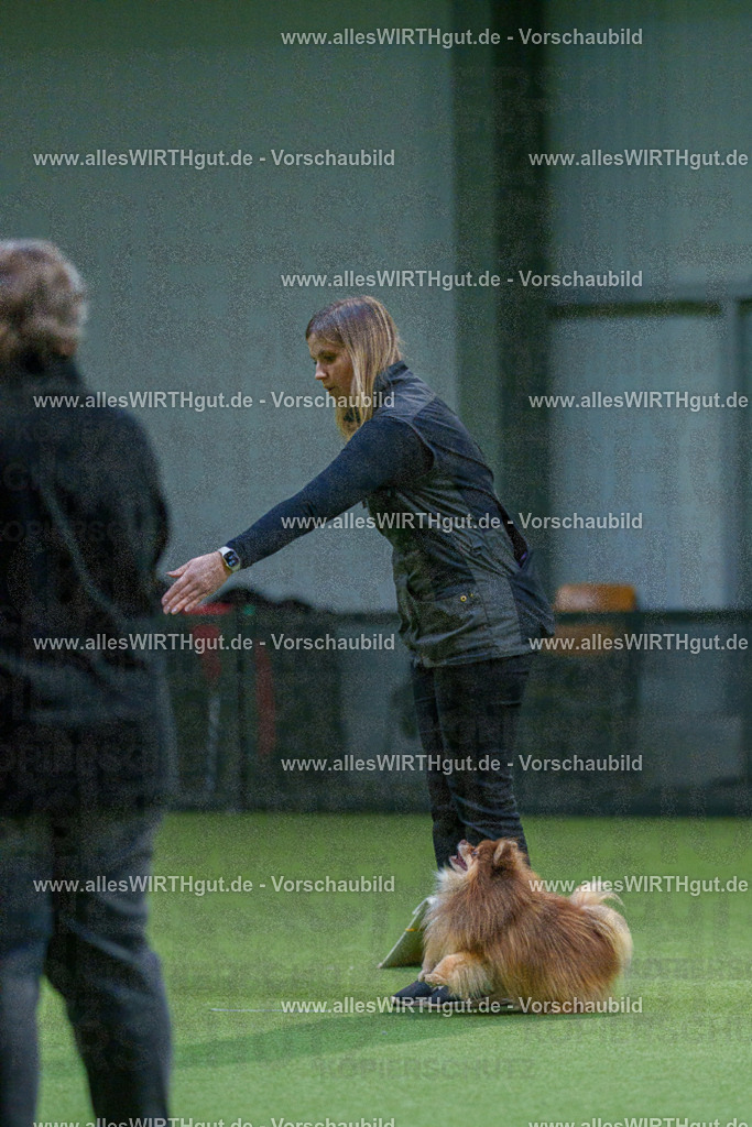 7R506787 | Professionelle Tierfotografie in Mönchengladbach von Daniel Wirth (allesWIRTHgut). Liebevolle & natürliche Bilder von Hunden & Katzen für unvergessliche Erinnerungen.