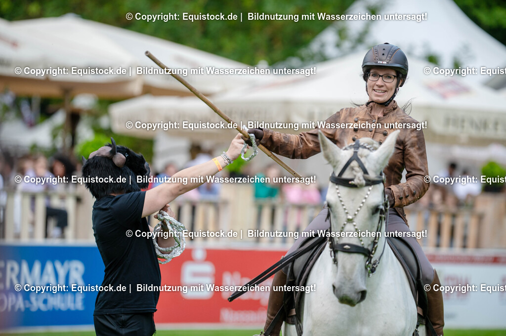 20250606_Lange-Pferdenacht_0318 | Foto: Thomas Hartig