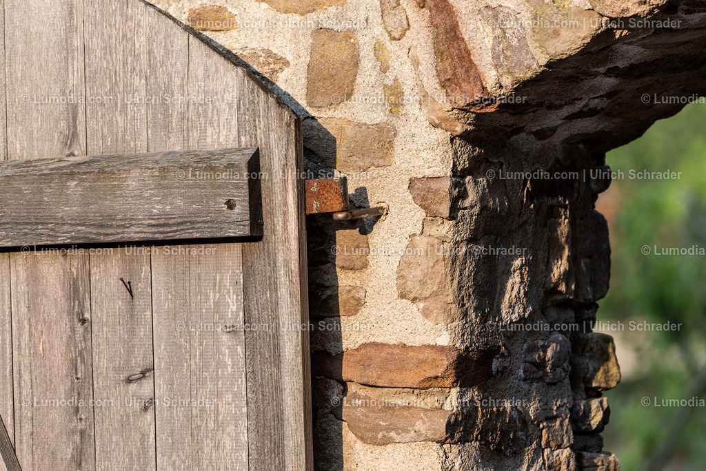 100491-3377 - Gärten im Kloster Drübeck | Stockfoto und Bilderpool mit Bildmaterial aus Deutschland, dem Harz, Halberstadt, Quedlinburg, Wernigerode und weltweit. Qualitativ hochwertige und professionelle Fotos anschauen und kaufen. - Realisiert mit Pictrs.com