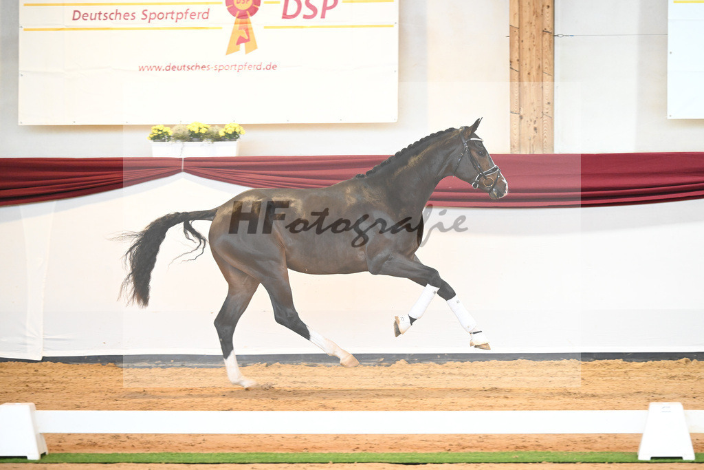 Kat-Nr. 31 v. Ferrantino_Lehner_66221839 | hf-fotografie - Realisiert mit Pictrs.com