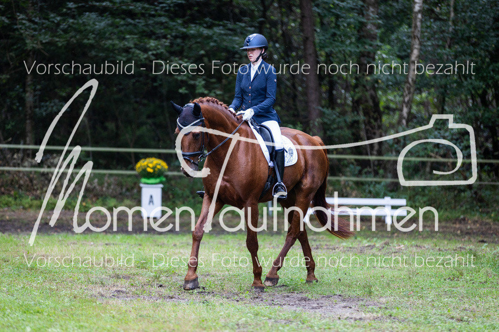 HB-A-Dressur-045 | MomenTaufnahmen Pferdesportfotos