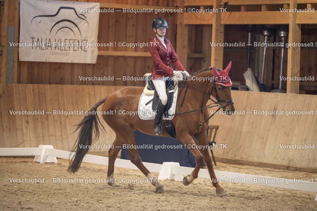 _D5A2500 | Emotionale Pferde- & People-Fotografie rund um Heidelberg, Leimen & Umgebung. Natürliche Fotos von Pferd, Mensch & Familie. Jetzt Termin sichern!