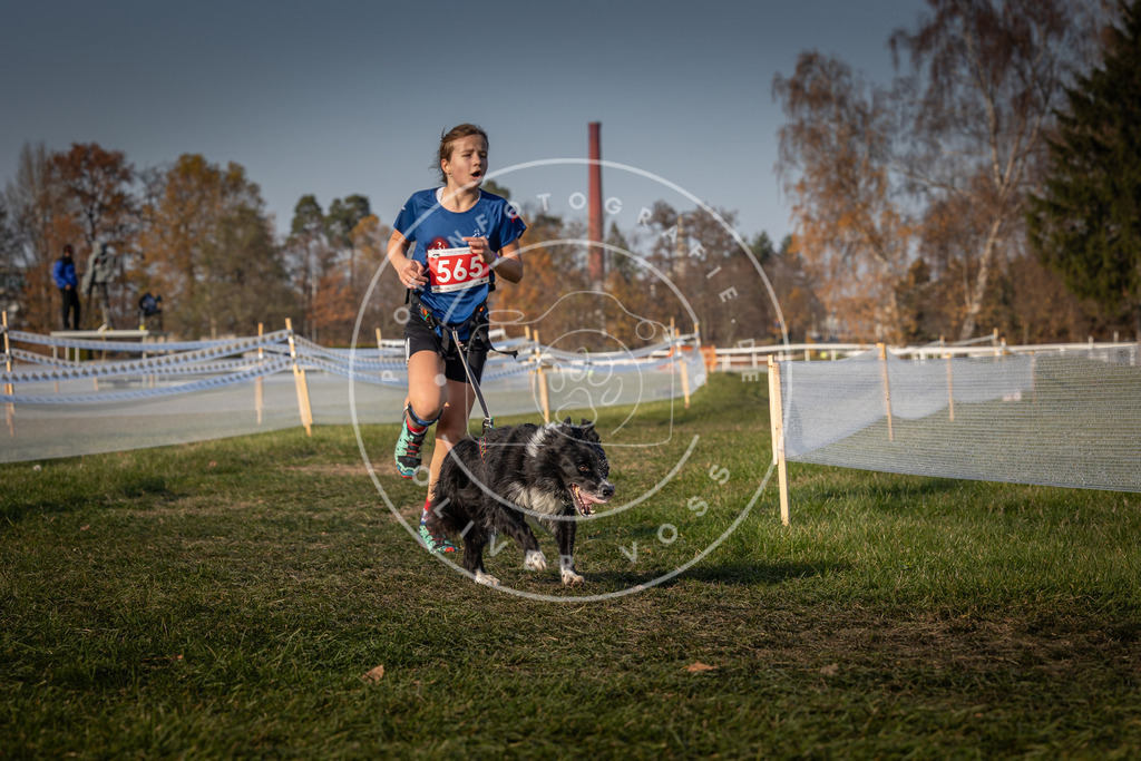 CaniXpix_0L8A9367 | Hundefotografie, Tierfotograf, Pfotenfotografie, Fotoshooting Hund, Hunde Portrait, Hundesport, Hundeportraits, Heideshooting, Hunde, Sportfotograf, Hundefotograf, Turnierhundsport, THS,  - Realisiert mit Pictrs.com