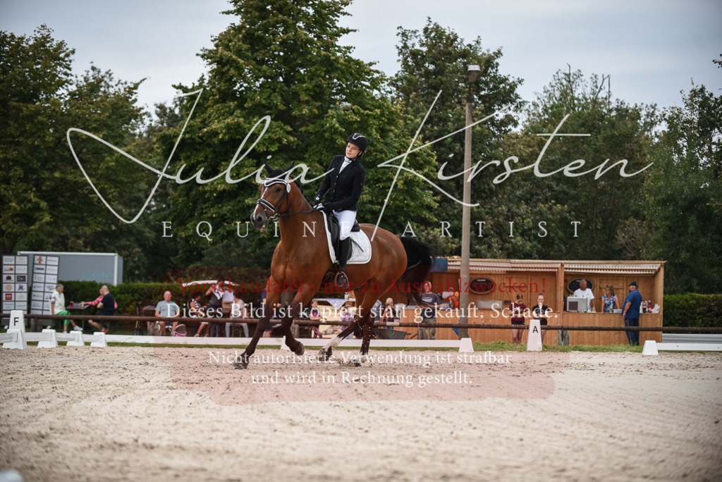 DSC_8099 | Pferde- und Turnierfotografie in Westsachsen. Pferdeportraits, Auftragszeichnungen und intuitive Kunst.
