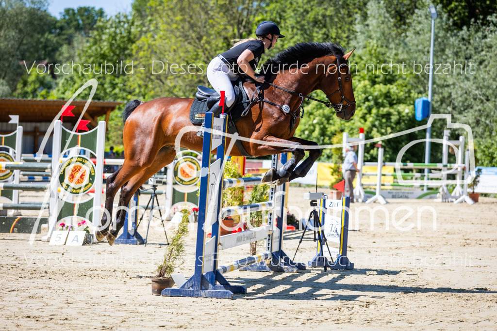 Donop24-M-Spr-046 | MomenTaufnahmen Pferdesportfotos