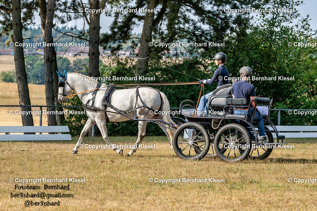 2A901816 | foto-team-bernhard - Realisiert mit Pictrs.com