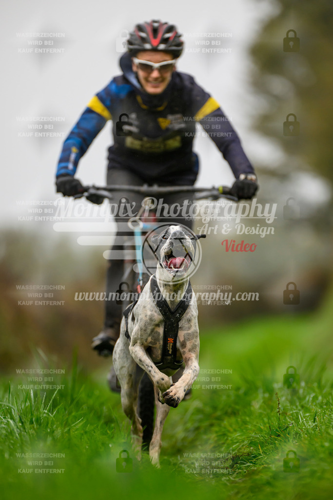 MompixPhotography_20TSB_E8_Bike-57 | PayLife