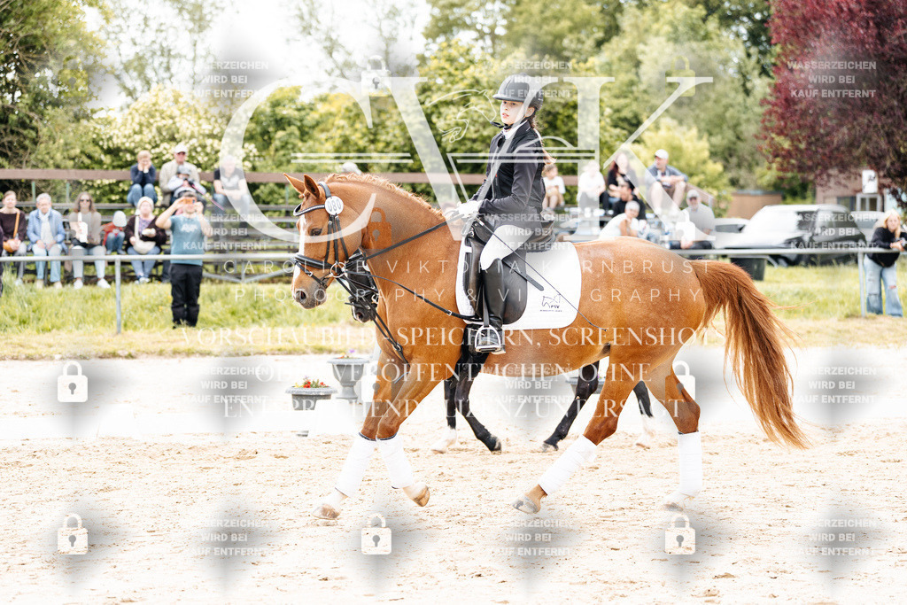 CK904308 | Turnierfotografie Pferdefotografie Trier Rheinland-Pfalz Pferdesport Reitsport Tierfotografie Sportfotografie Pferdevideo Pferdevideografie Equestrianvideography equestrianphotography  - Realisiert mit Pictrs.com