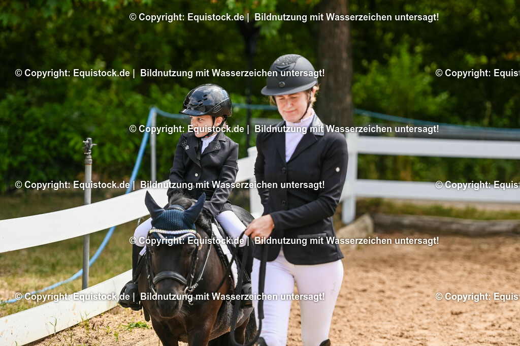 20230716_11_Führzügel-WB_0177 | equistock