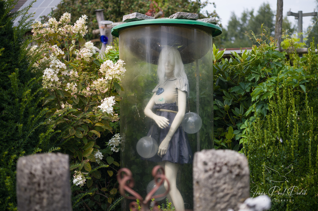 2024-08-07_14_02_53_L1007729 | Franz Podek