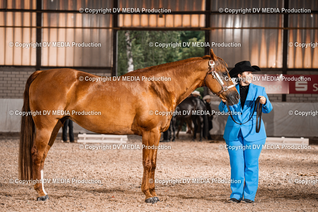 ZH200155 | dv-media-shop - Realisiert mit Pictrs.com