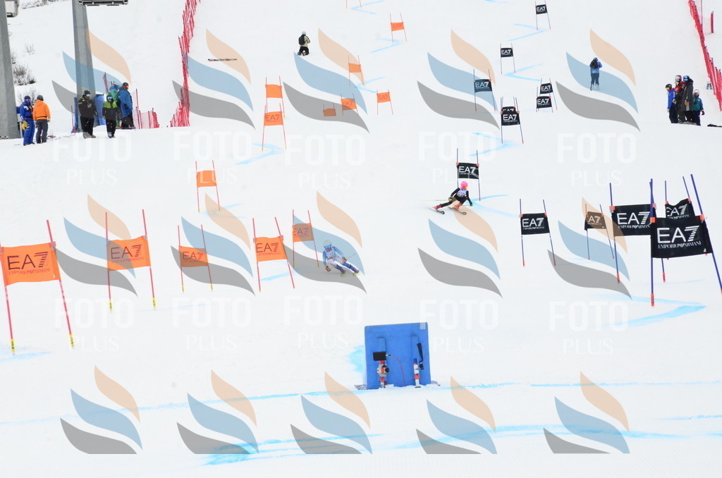 _ELE3547 | holidayphoto