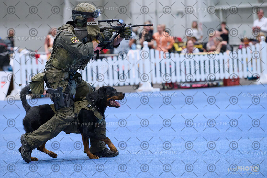 202406_ÖKV-IHA-Tulln24_DSC_3568 | proPHOTO - Realisiert mit Pictrs.com