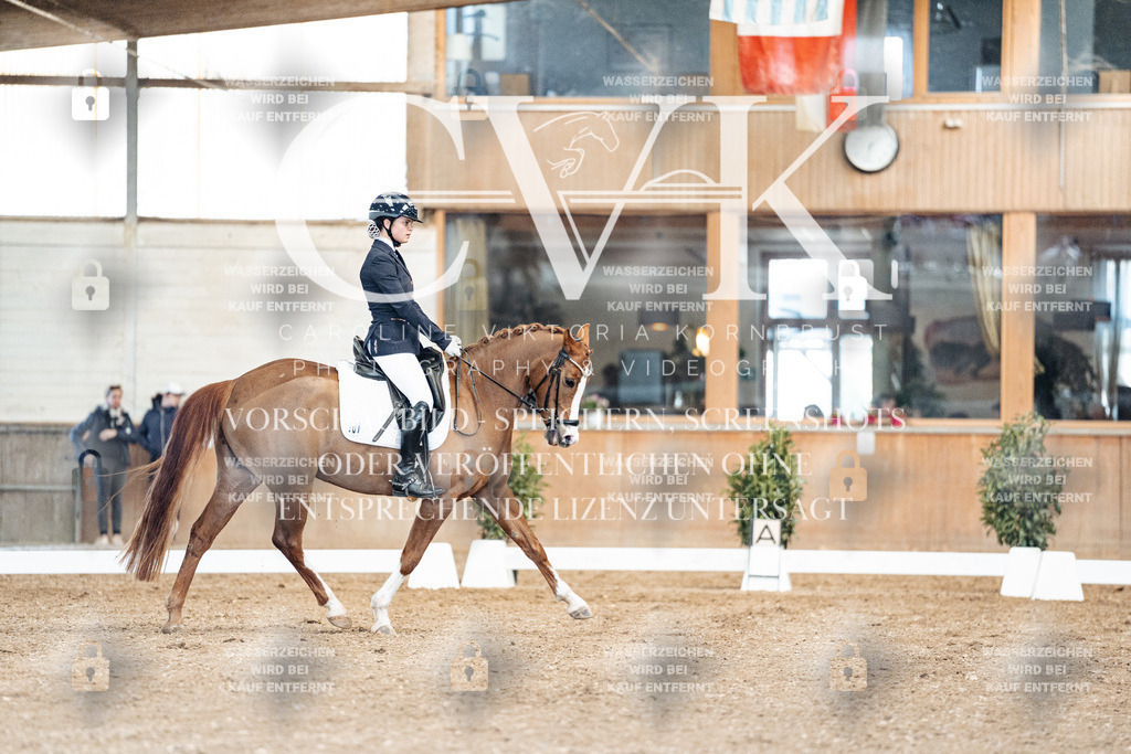 CK900809 | Turnierfotografie Pferdefotografie Trier Rheinland-Pfalz Pferdesport Reitsport Tierfotografie Sportfotografie Pferdevideo Pferdevideografie Equestrianvideography equestrianphotography  - Realized with Pictrs.com