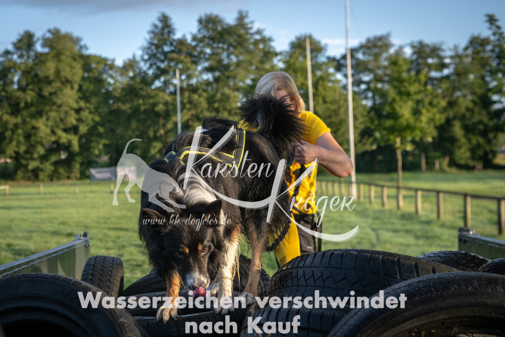 0802_ZZ90051 | kk-dogfotos