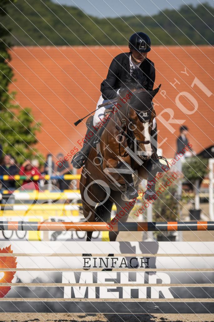 IMG_3488 | Sport-, Event- und Tierfotos in Profiqualität. Einfach auswählen, bestellen und herunterladen. Dein Moment – perfekt festgehalten.