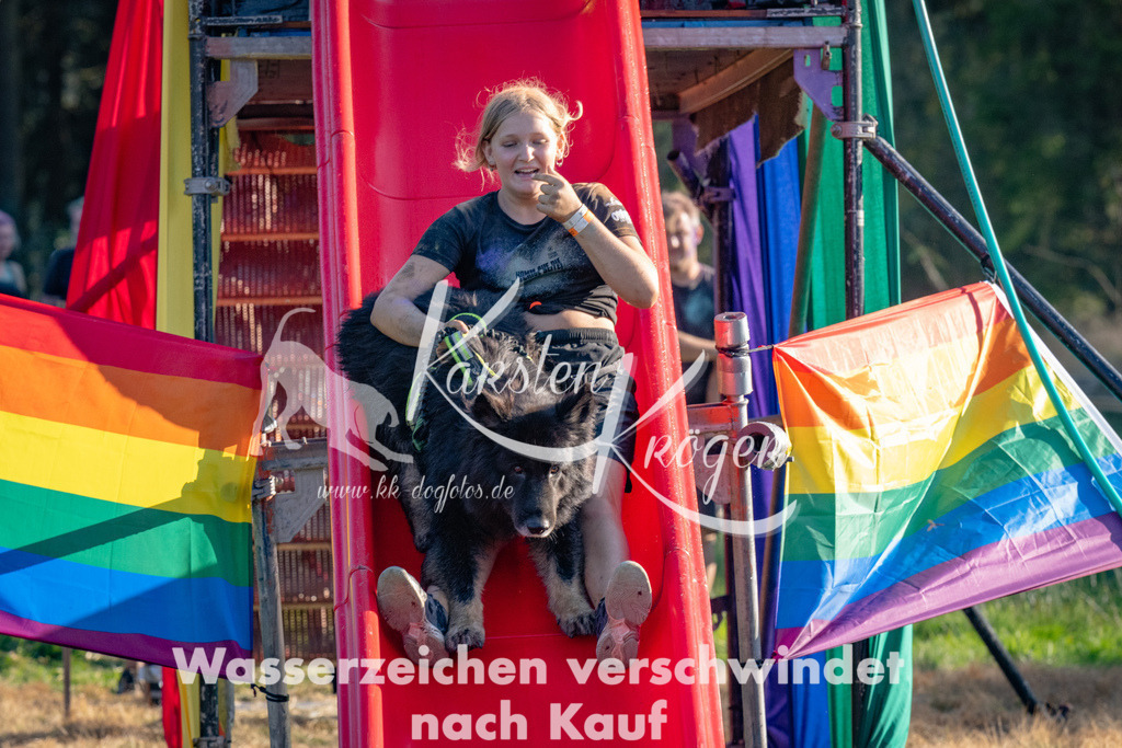 1741_ZZ91704 | kk-dogfotos