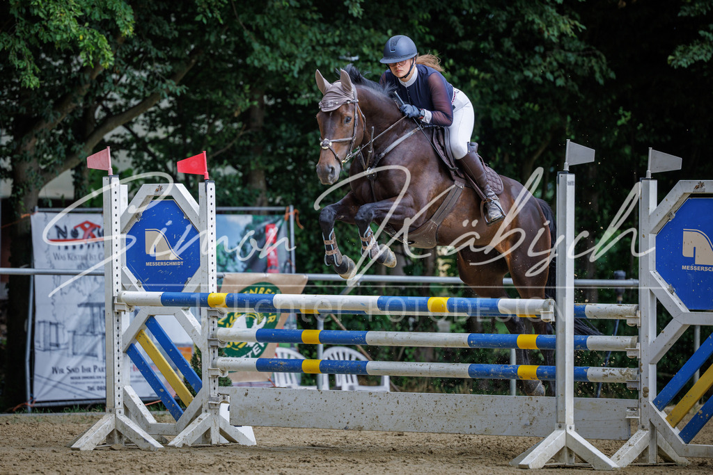 20260705-_3LI6670 | Tierfotografie Pferde, Hunde, Katzen, Haustiere.
Turnierfotografie Reitturniere, Reiten, Springreiten, Dressur in Hanau, dem Main-Kinzig-Kreis und dem Rhein-Main- Gebiet um Frankfurt