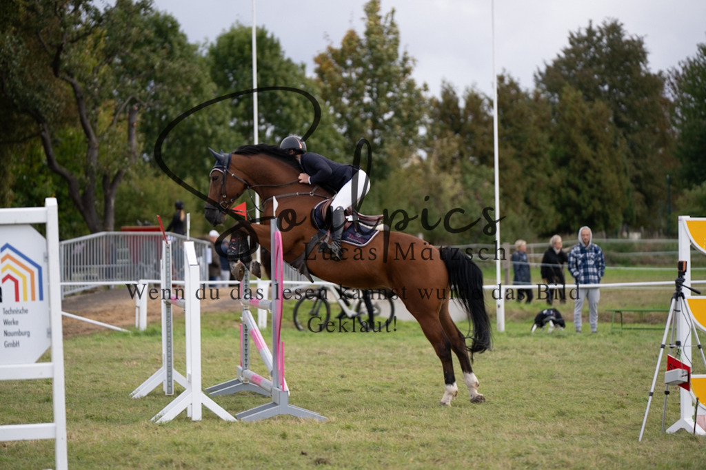 A7V07343 | Turnier/Reitfotograf