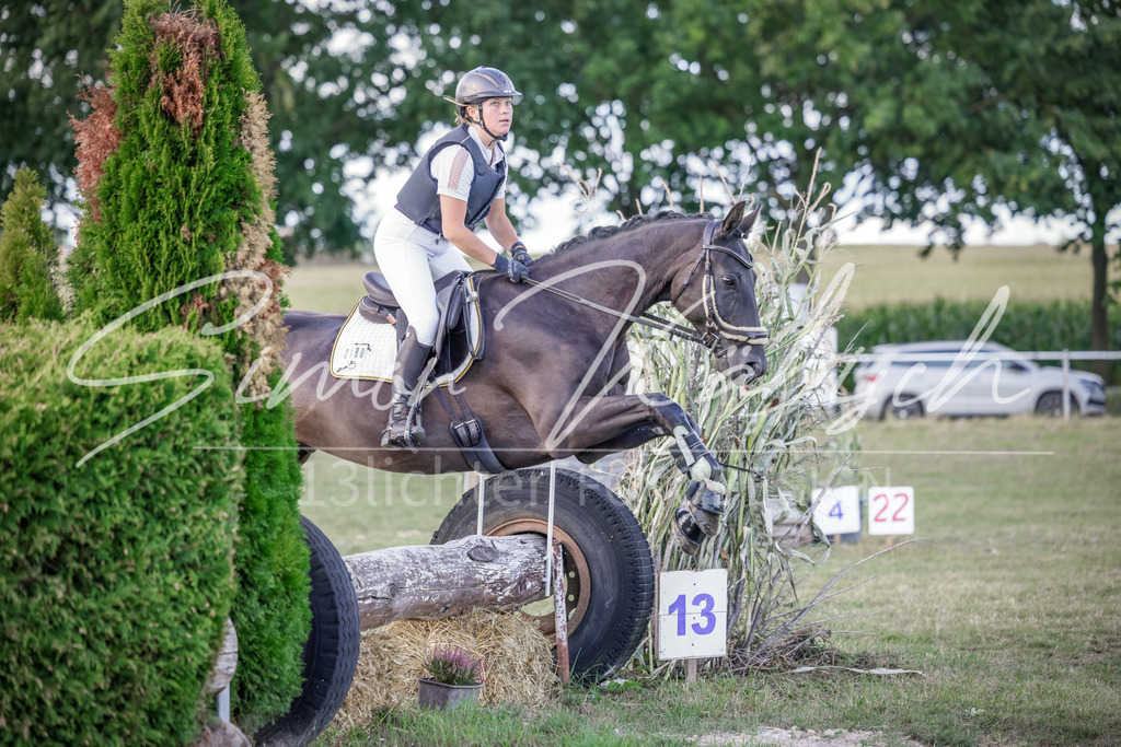 20250906-_3LI7365 | Tierfotografie Pferde, Hunde, Katzen, Haustiere.
Turnierfotografie Reitturniere, Reiten, Springreiten, Dressur in Hanau, dem Main-Kinzig-Kreis und dem Rhein-Main- Gebiet um Frankfurt