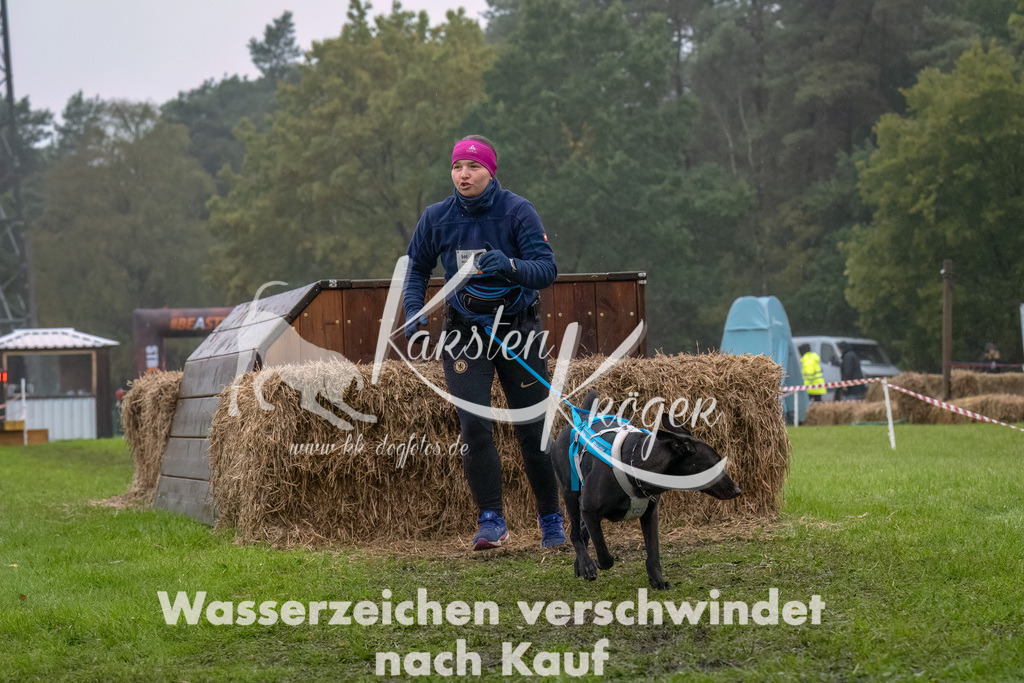 1249--5 | kk-dogfotos