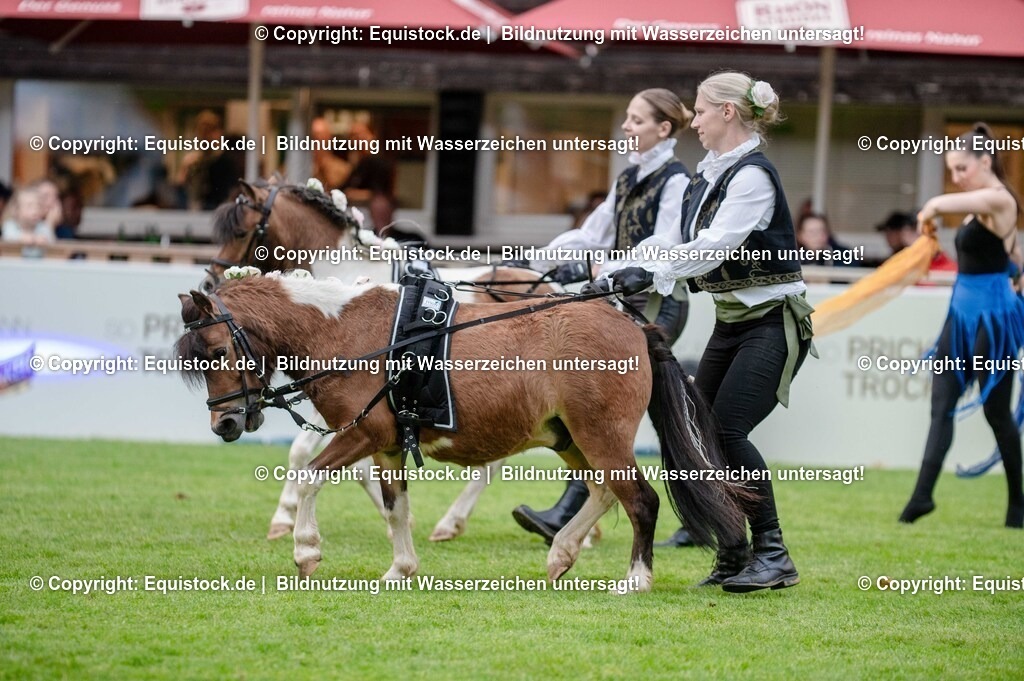 20250606_Lange-Pferdenacht_0552 | Foto: Thomas Hartig