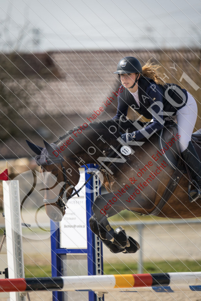 IMG_4334 | Sport-, Event- und Tierfotos in Profiqualität. Einfach auswählen, bestellen und herunterladen. Dein Moment – perfekt festgehalten.