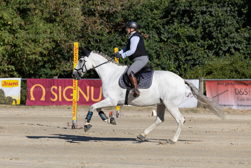 WL_Speed_50_KerstinBernhardt-7 | working equitationturnier fotograf videograf stoibphotography marixx film working equitation deutschland reitsport turnierfotografie eventfotografie equestrian events