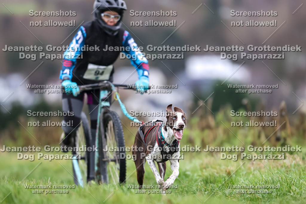 Dog Paparazzi - Herkules Race  2025-25 | Dog Paparazzi Jeanette Grottendiek Fotografie & Videografie - Realisiert mit Pictrs.com
