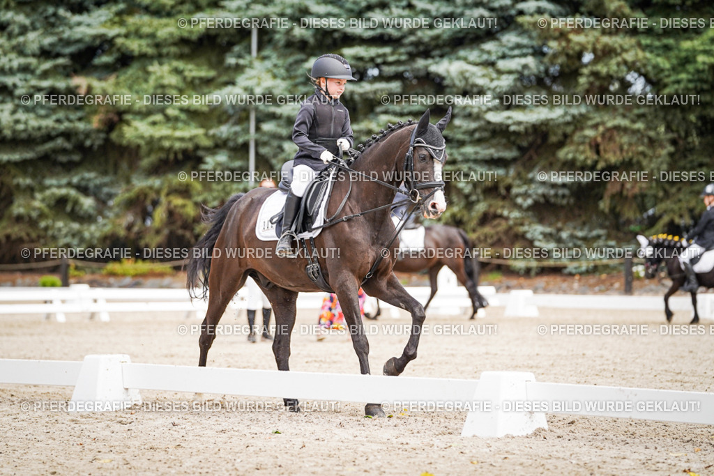 DSC02770 | Pferdegrafie