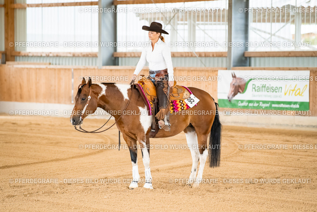 DSC01806 | Pferdegrafie