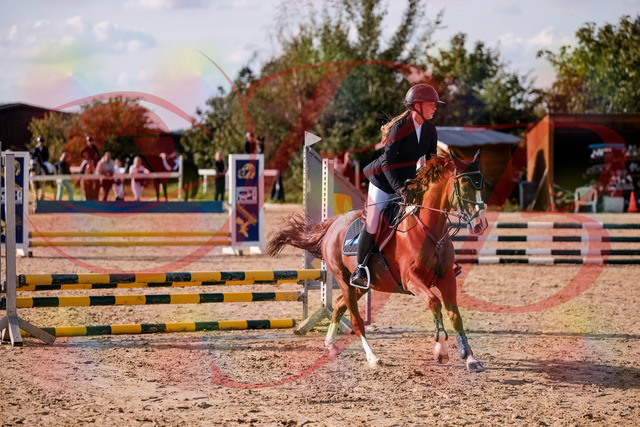 2026_10_03_Siefer-Hof_155751_Z81_77521818 | Professionelle Reitsport-, Turnier- und Eventfotografie von Robert Broda. Galerien mit ausgewählten und bearbeiteten Bildern direkt online ansehen und bestellen.