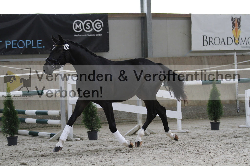 _MG_9524 | equestrian-live-com