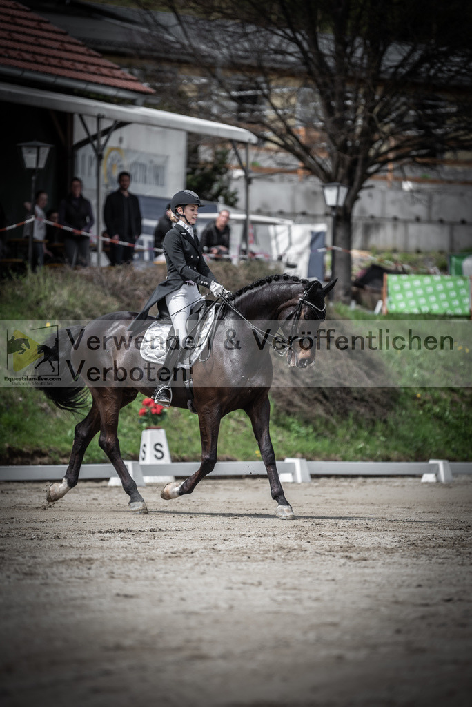 DSC_2232 | equestrian-live-com