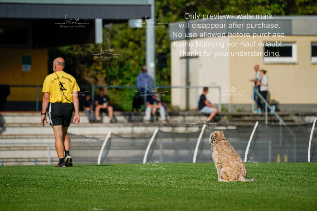 Sonntag_Gh (170 von 465) | stephaniefillaphotographie - Realisiert mit Pictrs.com