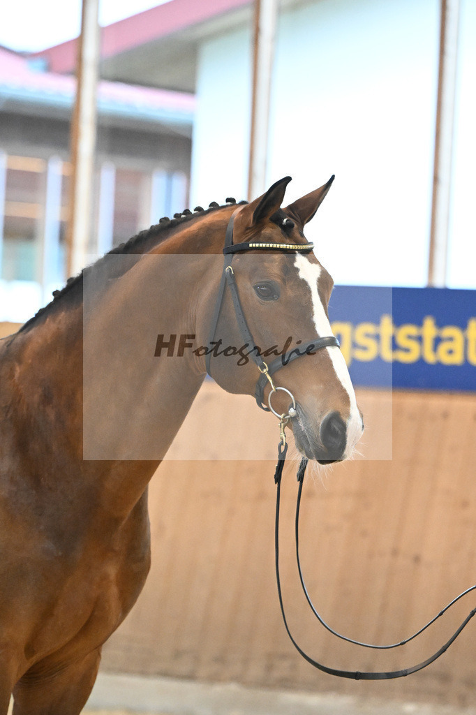 Sanvaro_7240721 | hf-fotografie - Realisiert mit Pictrs.com