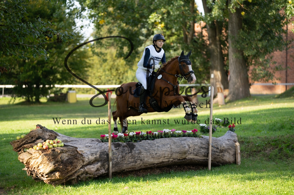 A7V03062 | Turnier/Reitfotograf