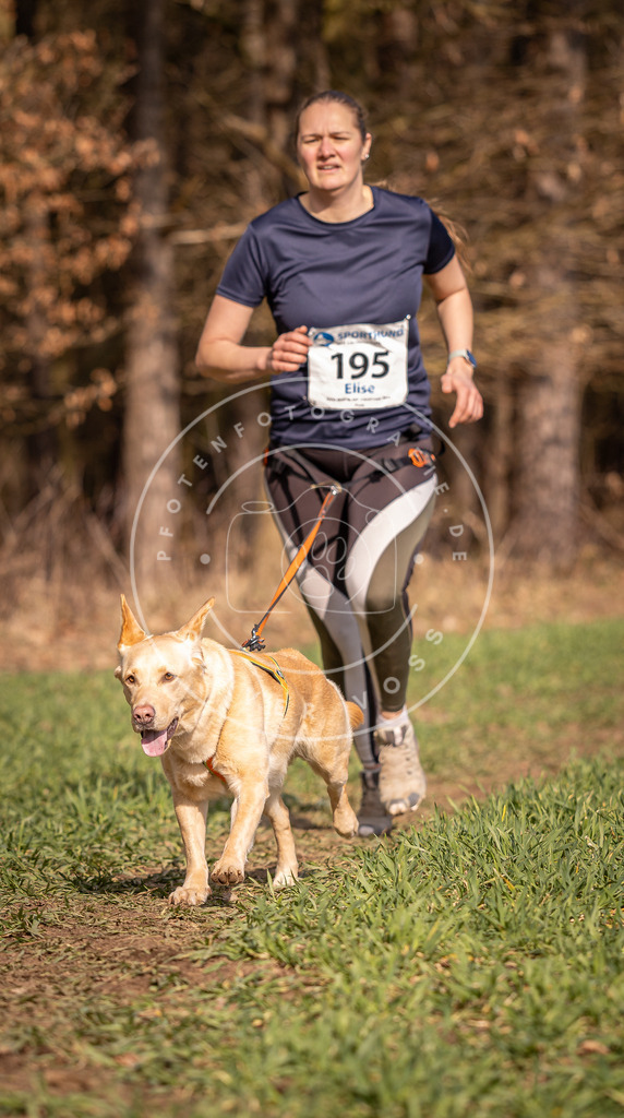 DV3A6254 | Hundefotografie, Tierfotograf, Pfotenfotografie, Fotoshooting Hund, Hunde Portrait, Hundesport, Hundeportraits, Heideshooting, Hunde, Sportfotograf, Hundefotograf, Turnierhundsport, THS,  - Realisiert mit Pictrs.com