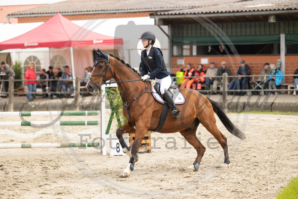 994A9525 | sabrinanicolaifotografie - Realisiert mit Pictrs.com