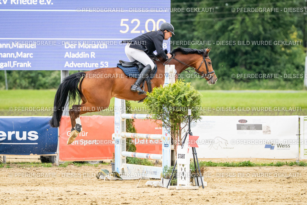 DSC06804 | Pferdegrafie