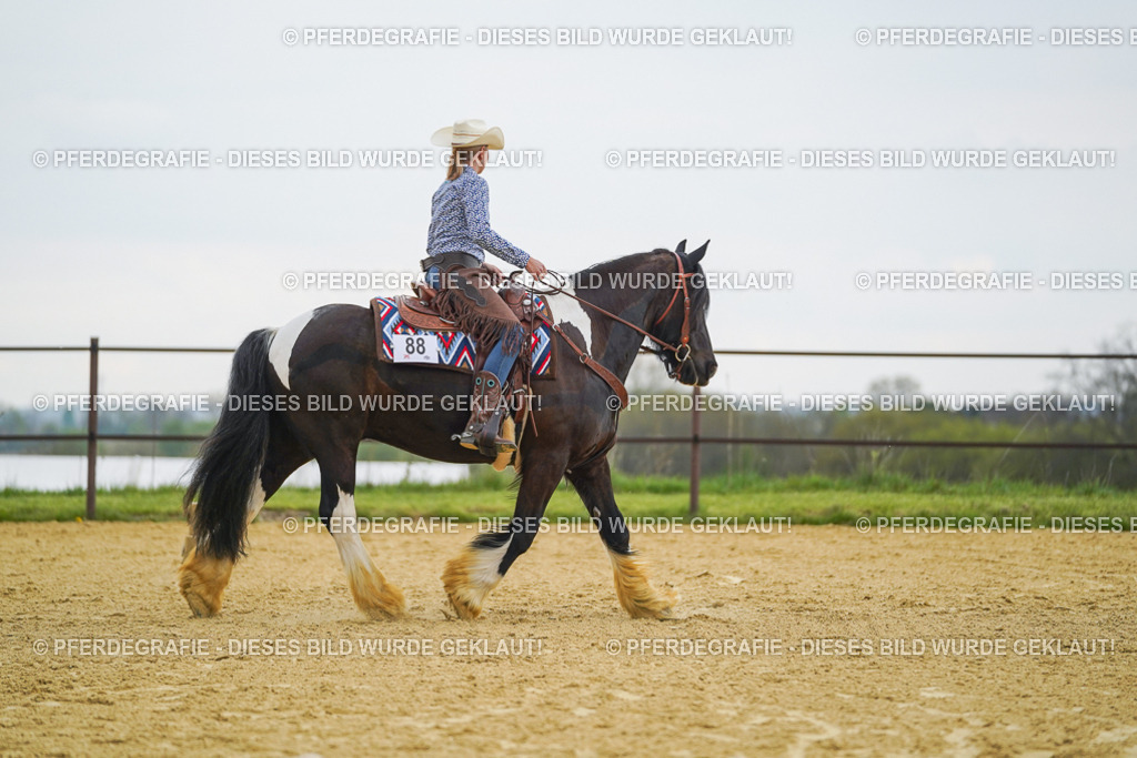 DSC08023 | Pferdegrafie