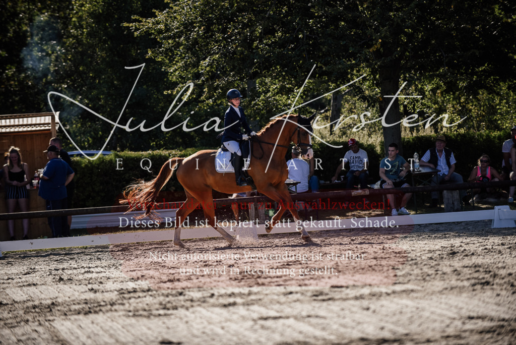 DSC_0489 | Pferde- und Turnierfotografie in Westsachsen. Pferdeportraits, Auftragszeichnungen und intuitive Kunst.
