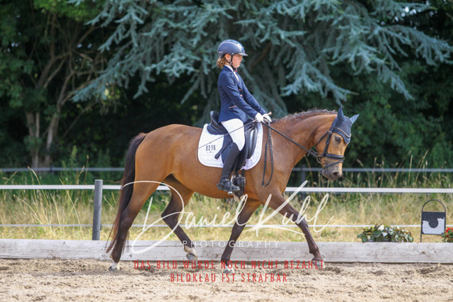 DKP46031 | Turniersportfotografie; Pferdefotografie; Dressurfotografie