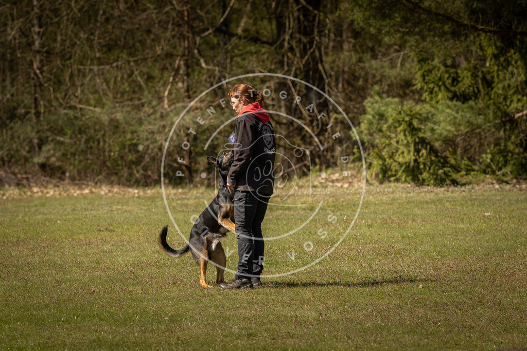 Pfotenfotografie_DV3A0954 | Hundefotografie, Tierfotograf, Pfotenfotografie, Fotoshooting Hund, Hunde Portrait, Hundesport, Hundeportraits, Heideshooting, Hunde, Sportfotograf, Hundefotograf, Turnierhundsport, THS,  - Realisiert mit Pictrs.com