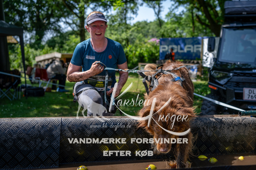 1222_ZZ90854 | kk-dogfotos