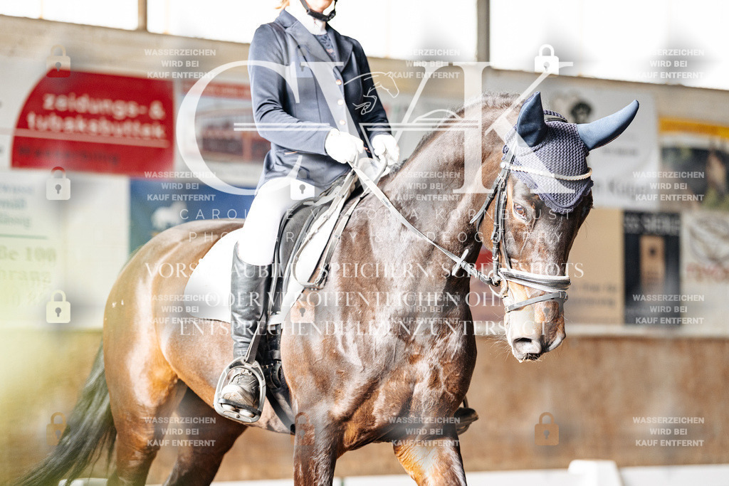 CK902348 | Turnierfotografie Pferdefotografie Trier Rheinland-Pfalz Pferdesport Reitsport Tierfotografie Sportfotografie Pferdevideo Pferdevideografie Equestrianvideography equestrianphotography  - Realisiert mit Pictrs.com