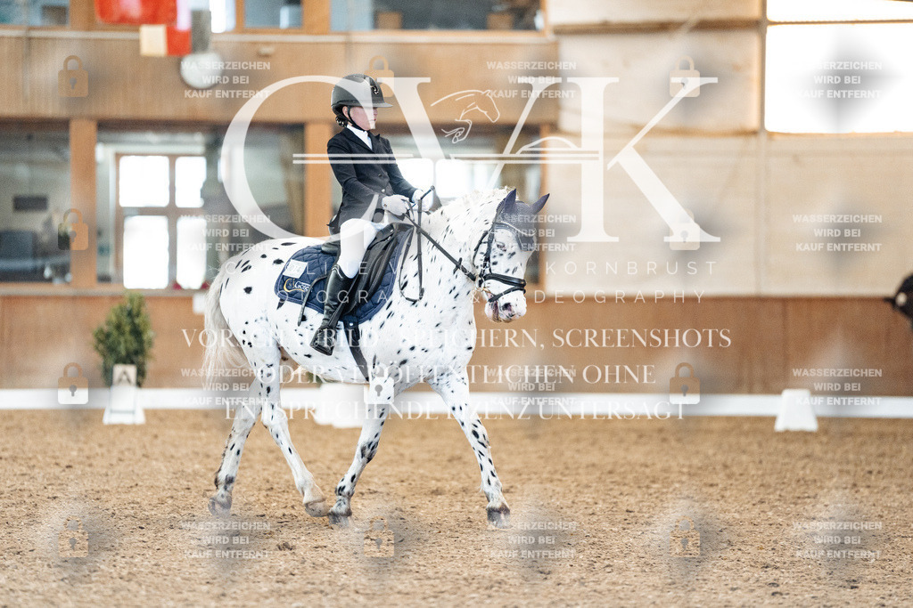 CK908897 | Turnierfotografie Pferdefotografie Trier Rheinland-Pfalz Pferdesport Reitsport Tierfotografie Sportfotografie Pferdevideo Pferdevideografie Equestrianvideography equestrianphotography  - Realisiert mit Pictrs.com