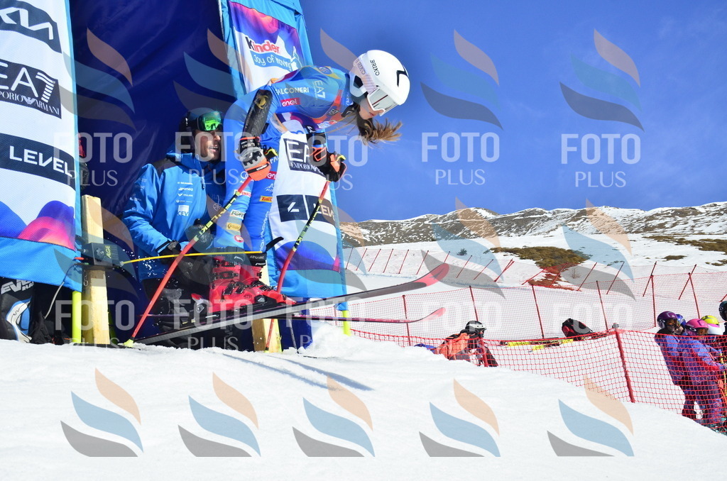 _ELE9766 | holidayphoto